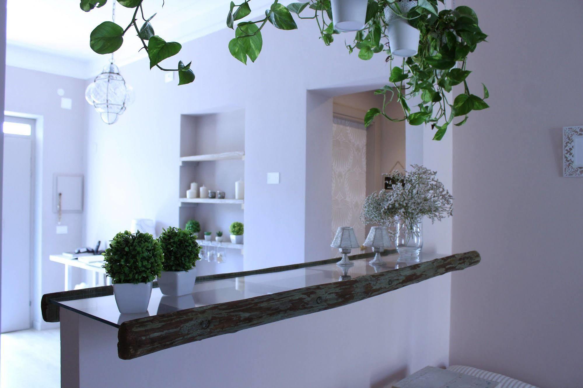 B&B Nannalia Marina Di Carrara Zewnętrze zdjęcie