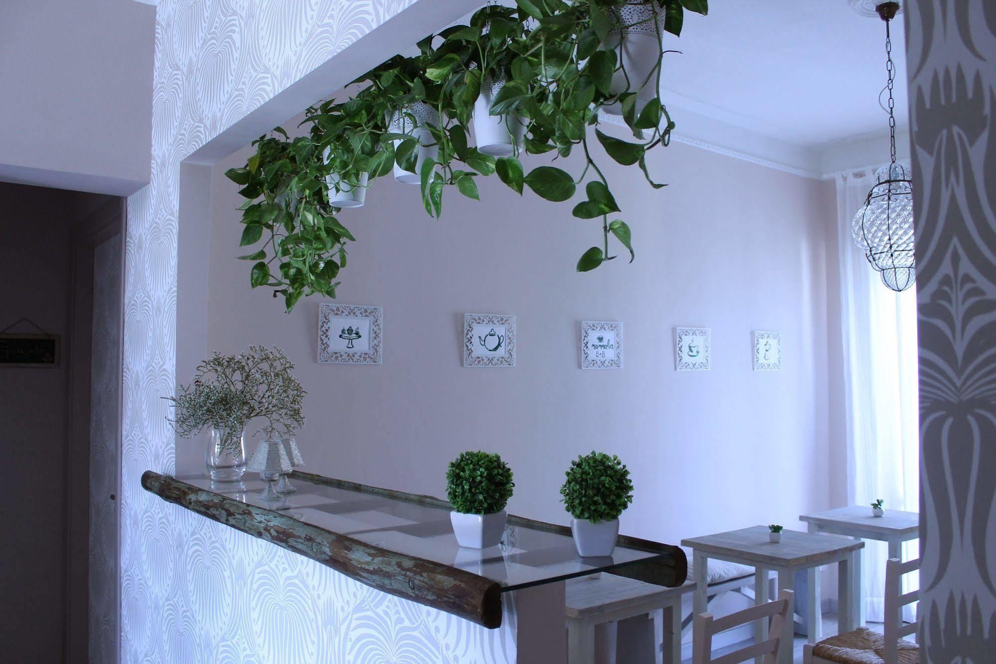 B&B Nannalia Marina Di Carrara Zewnętrze zdjęcie